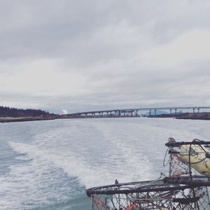 Meet your Posher, Greg